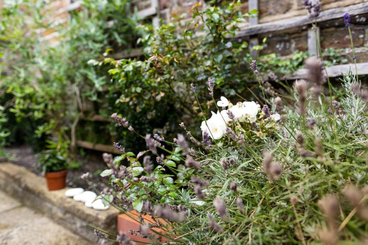 Meads Garden Cottage Close To Sea Eastbourne Eksteriør bilde